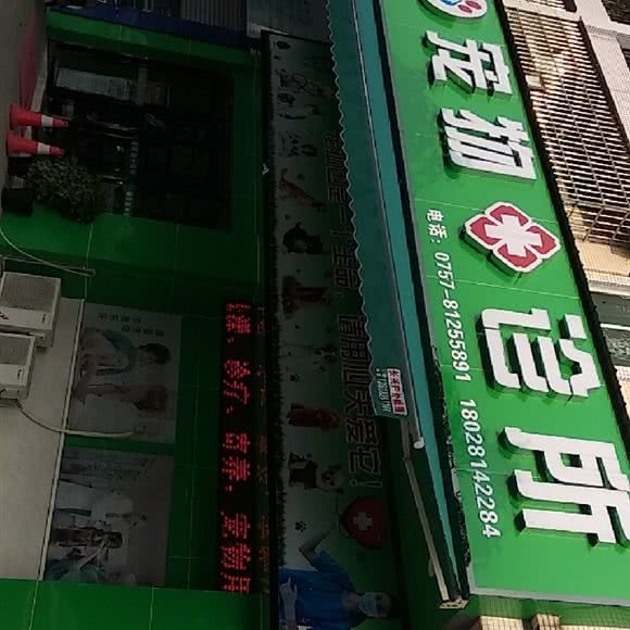 贝缘宠物诊所:佛山市南海区西樵附近