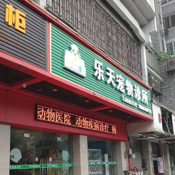 乐天宠物医院:佛山市南海区西樵附近