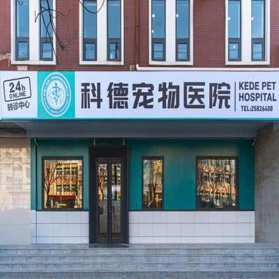 科德宠物医院(塘沽店):天津城区滨海新区塘沽城区附近