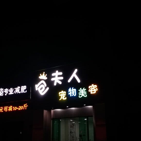 包夫人宠物美容:佛山市南海区盐步附近