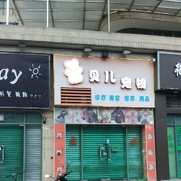贝儿宠物会:佛山市南海区盐步附近