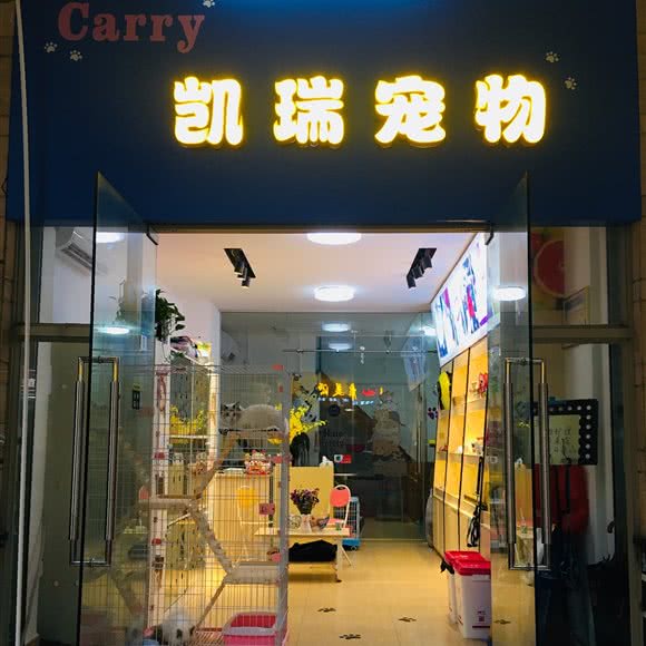 凯瑞宠物店:佛山市南海区盐步附近