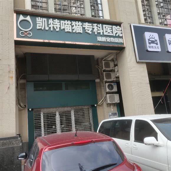 凯特喵猫专科医院:佛山市南海区国昌新城市广场附近