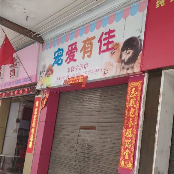 宠爱有佳:佛山市南海区狮山附近