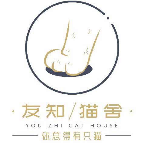 友知·金银渐层英短猫舍(双井首城国际店):北京城区朝阳区双井附近