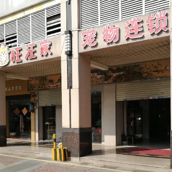 旺旺家宠物连锁:佛山市南海区平洲附近