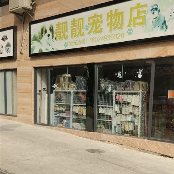 靓靓宠物店:佛山市南海区丹灶附近