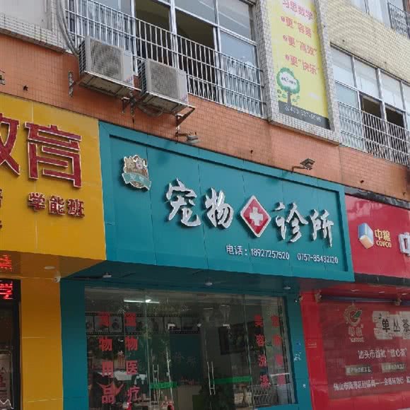 宠贝宠物诊所:佛山市南海区丹灶附近