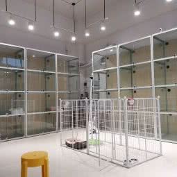 傻仔猫宠物馆:佛山市南海区官窑附近