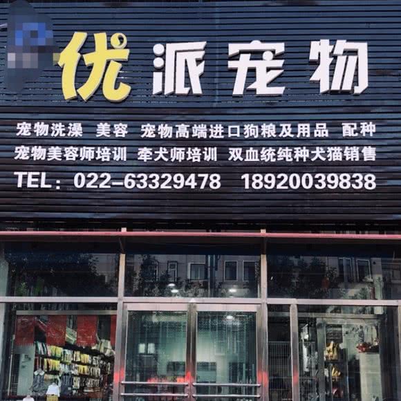 优派宠物(大港店):天津城区滨海新区大港城区附近