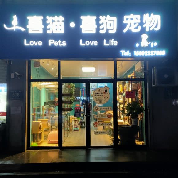 喜猫·喜狗:天津城区滨海新区大港城区附近