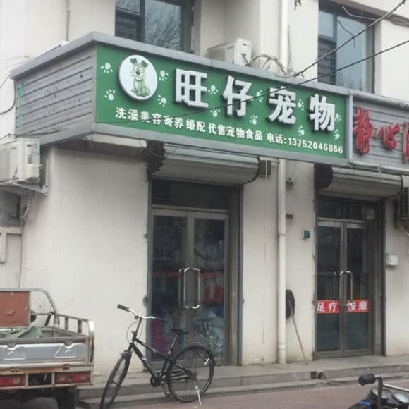 旺仔宠物狗:天津城区滨海新区大港城区附近
