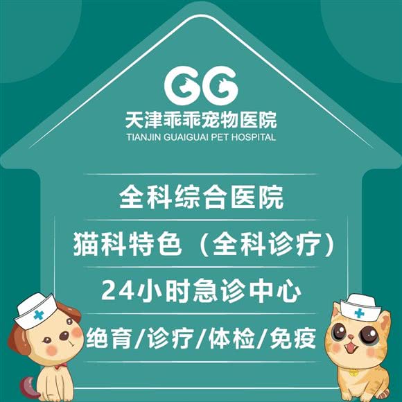乖乖24小时宠物医院(大港分院?猫科特色?急重症中心):天津城区滨海新区大港城区附近