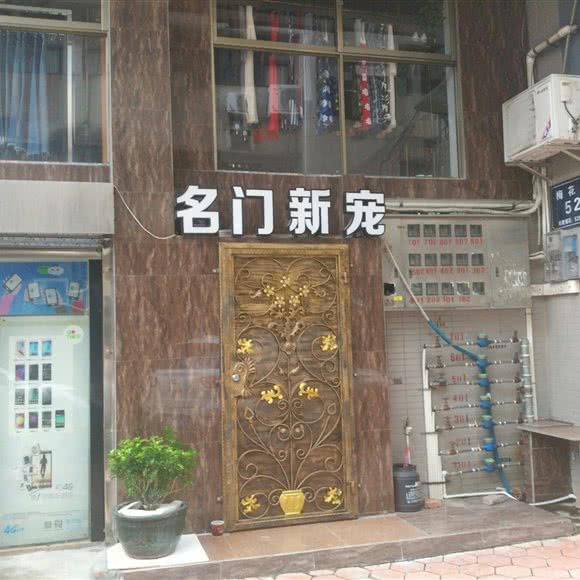 名门新宠:佛山市高明区高明区附近