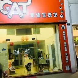 CAT宠物生活馆:江门市蓬江区汇悦城附近