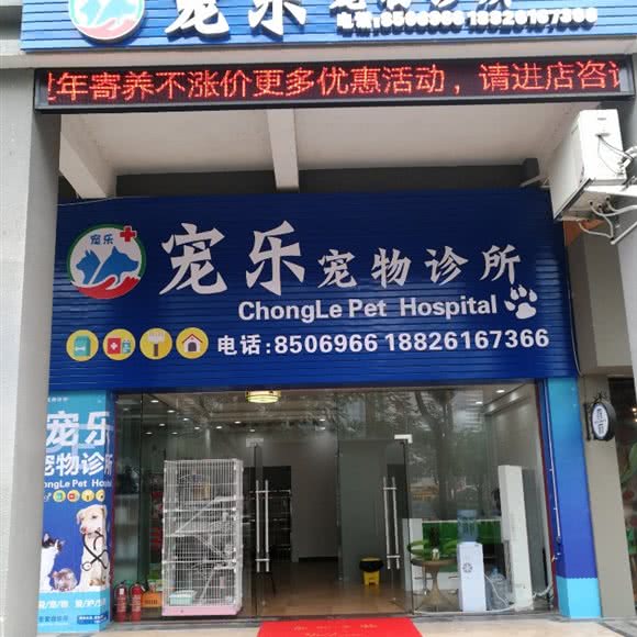 宠乐宠物诊所:江门市蓬江区汇悦城附近