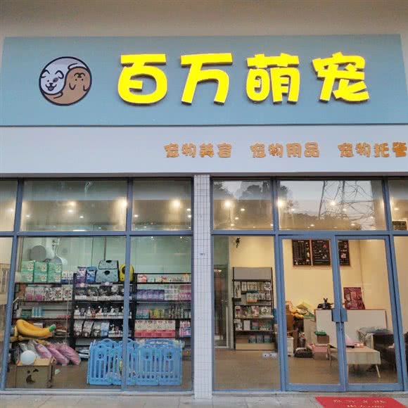三百万萌宠:江门市蓬江区万达商场附近