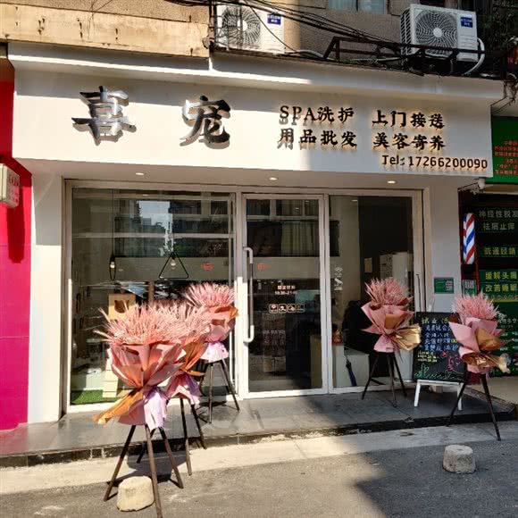 喜宠·专注宠物spa洗护:江门市蓬江区江华附近