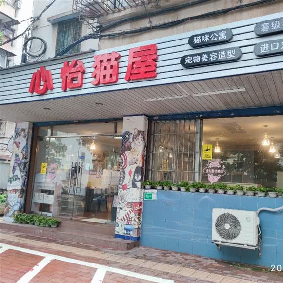 心怡猫舍:江门市蓬江区北郊附近