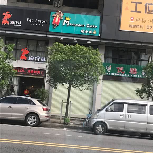 狗仔队:江门市蓬江区益华附近