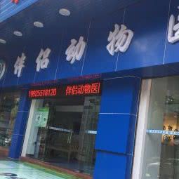 伴侣动物医院:江门市蓬江区益华附近