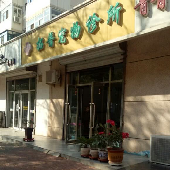 拓普狗狗诊所:天津城区滨海新区大港城区附近