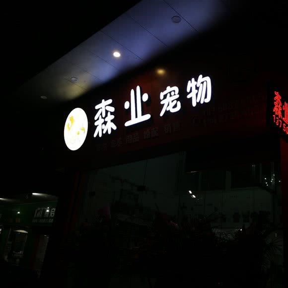 森业宠物:江门市江海区江海附近
