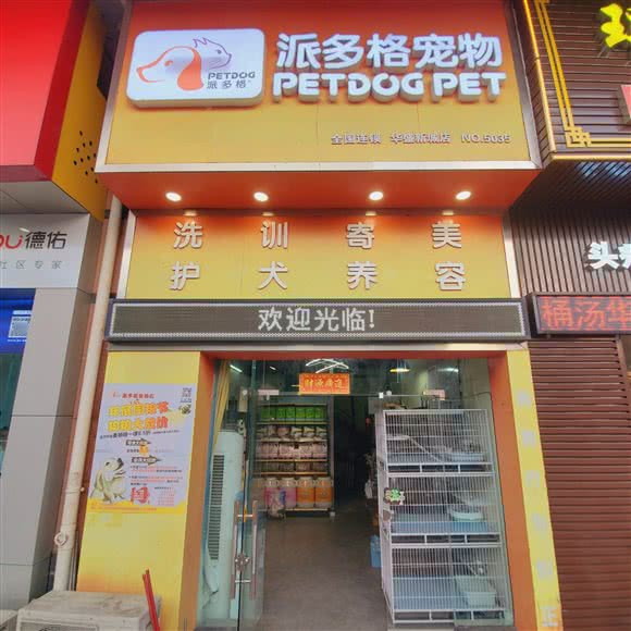 派多格宠物(华盛新城店):湛江市赤坎区鹰展假日广场附近