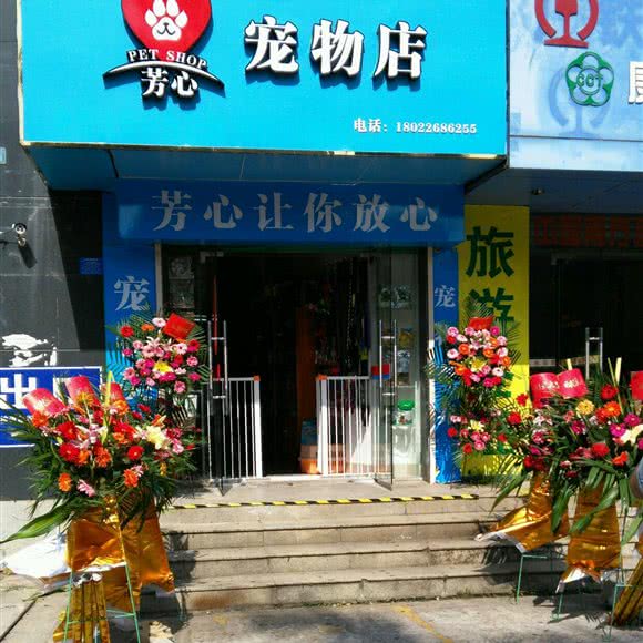 芳心咖啡店:湛江市赤坎区康顺路/影剧院附近