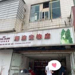 海滨宠物店:湛江市霞山区观海长廊附近
