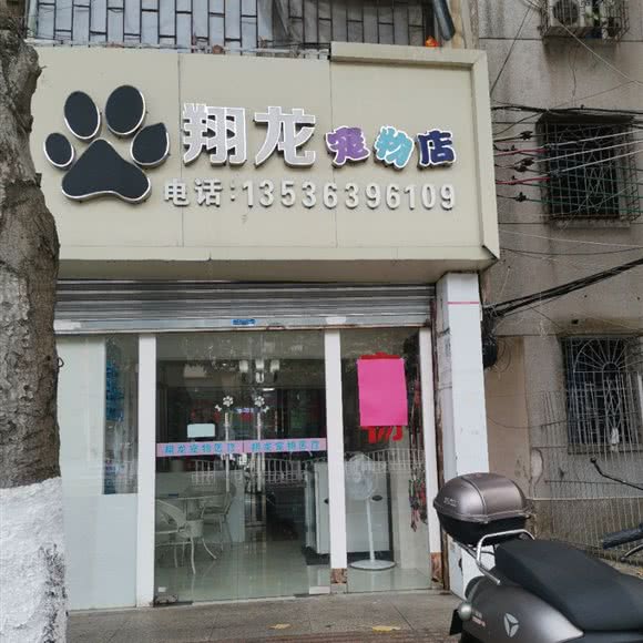 翔龙宠物店:湛江市霞山区雄立广场附近