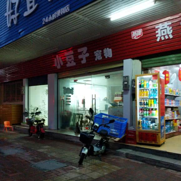 小豆子宠物:肇庆市端州区印象汇附近