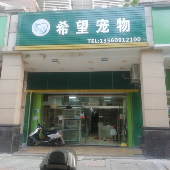希望宠物:肇庆市端州区牌坊东门广场附近
