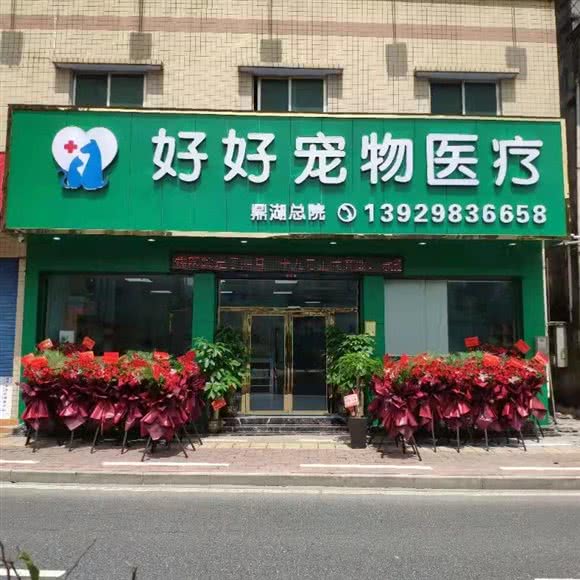好好宠物医疗:肇庆市鼎湖区坑口附近