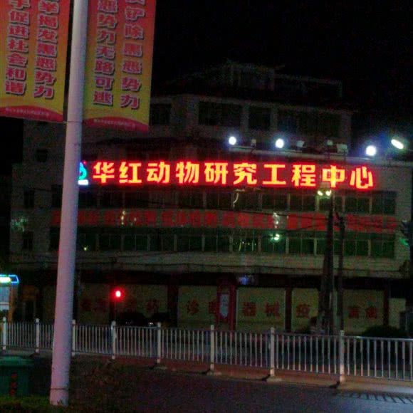 华红动物研究工程中心:肇庆市高要区南岸街道附近