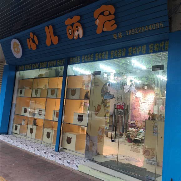 心儿萌宠:肇庆市四会市城中街道附近