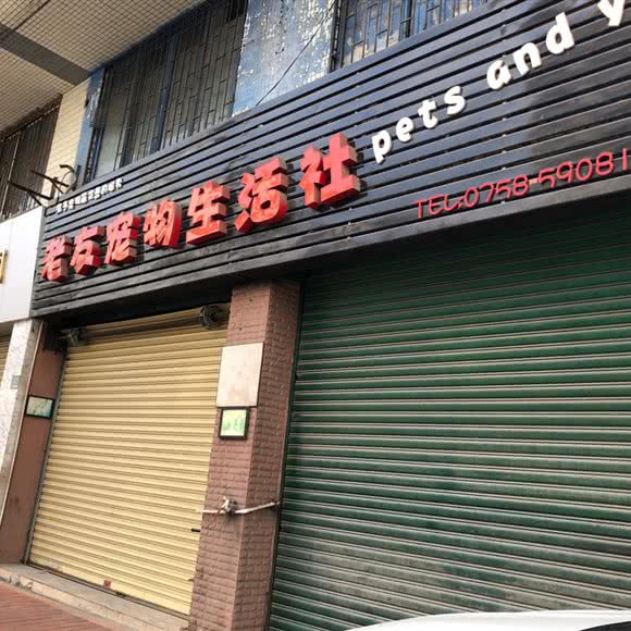 老友宠物生活社:肇庆市四会市城中街道附近
