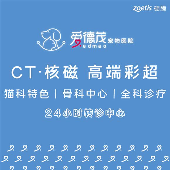 爱德茂宠物医院(惠州江北纬济分院):惠州市惠城区江北附近