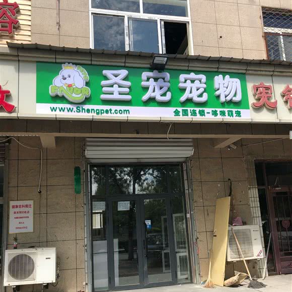 圣宠宠物:天津城区滨海新区大港油田附近