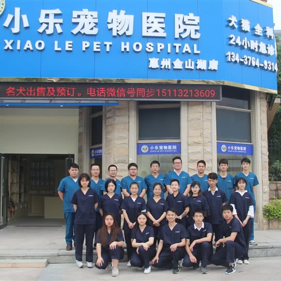 小乐宠物医院(金山湖店):惠州市惠城区河南岸片区附近