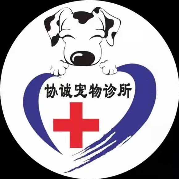 协诚宠物狗诊所:梅州市梅江区金利来附近