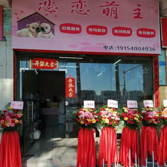 恋恋萌主宠物店:梅州市梅江区华侨城附近