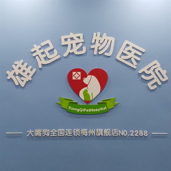雄起宠物医院:梅州市梅江区彬芳大道南附近