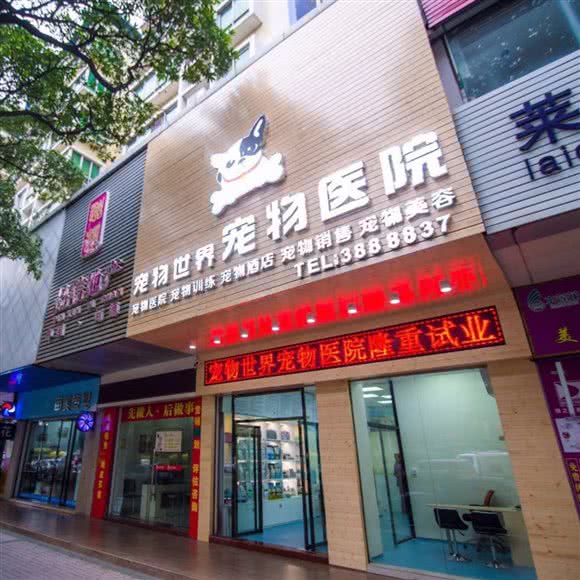 宠物世界宠物医院:河源市源城区人人乐附近
