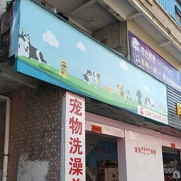 笨笨宠物宠物洗澡(东门店):阳江市江城区人民广场附近