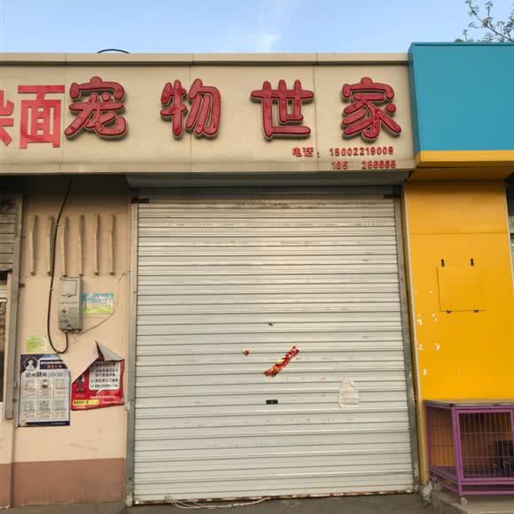 宠物世家:天津城区滨海新区汉沽城区附近