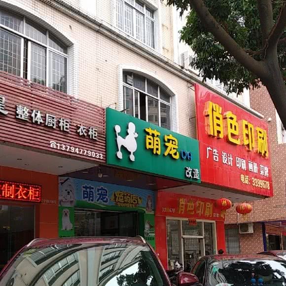 萌宠DA改造宠物店:阳江市江城区愉景花园附近
