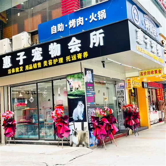 惠子宠物会所(先锋路店):清远市清城区城市广场附近