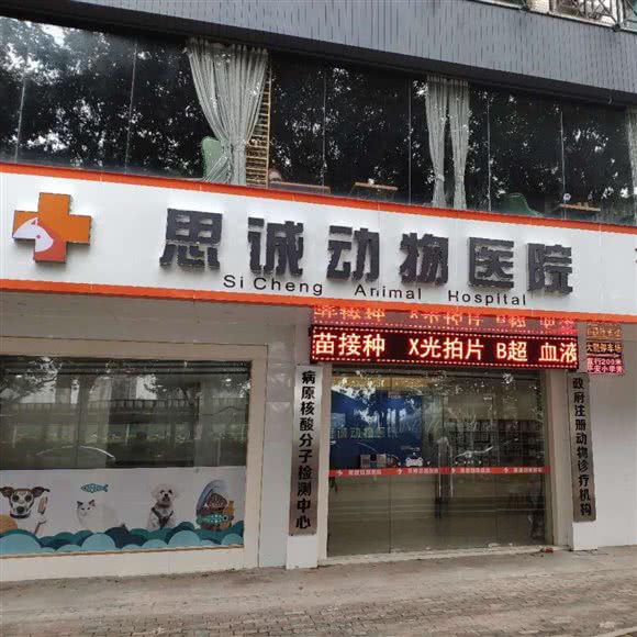 思诚动物医院(沿江路店):清远市清城区上下廓街附近