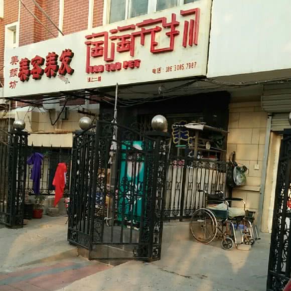 淘淘宠物:天津城区滨海新区汉沽城区附近